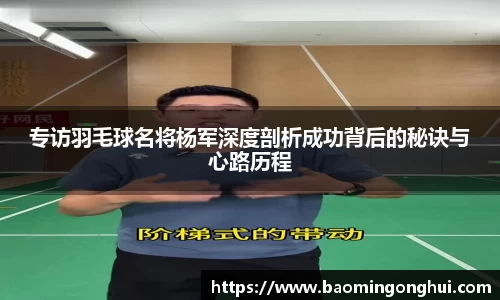B体育bsports